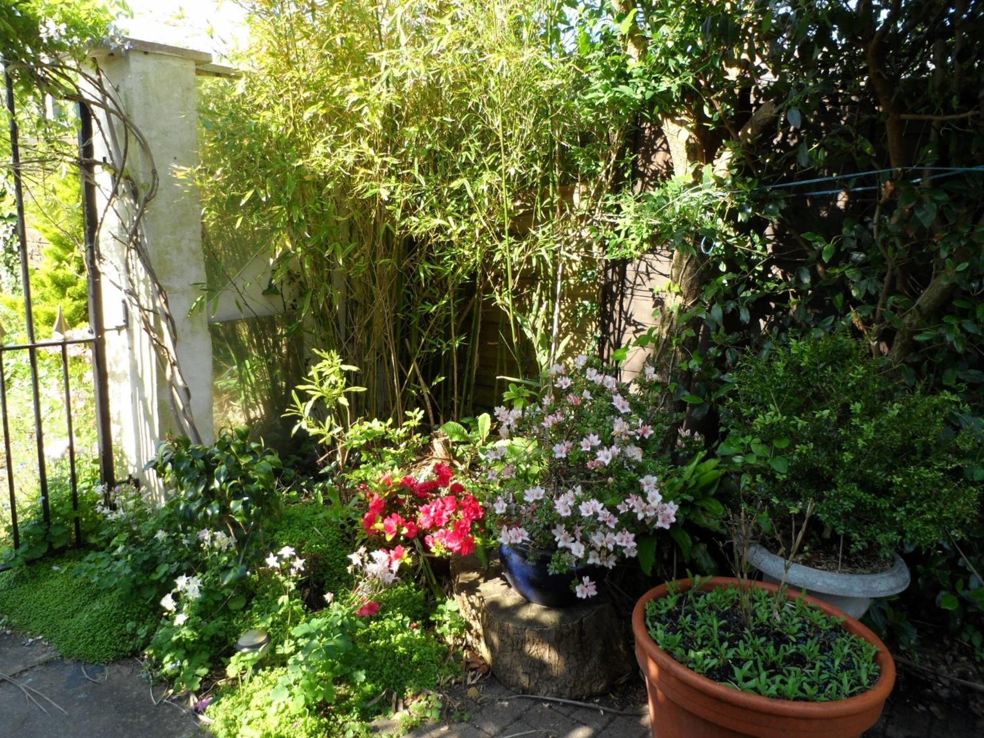 Galway Guest House Weymouth Esterno foto