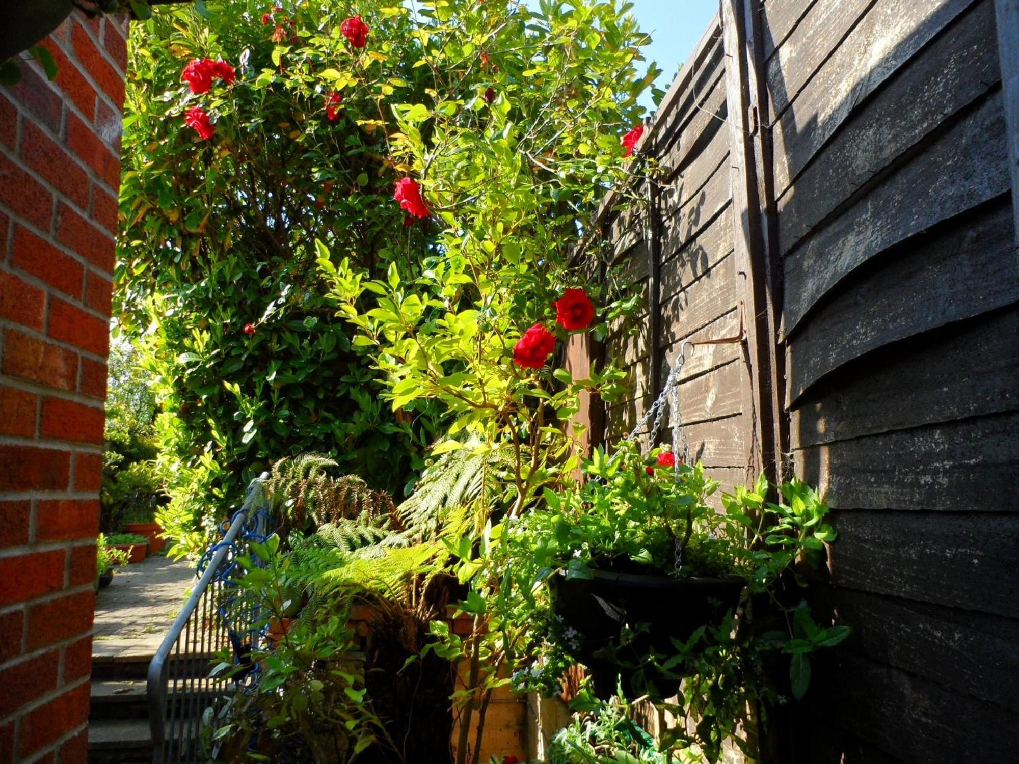 Galway Guest House Weymouth Esterno foto